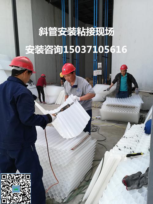 ��Cб�����ϰ��bճ�ӬF��