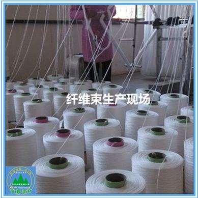 �w�S���V��